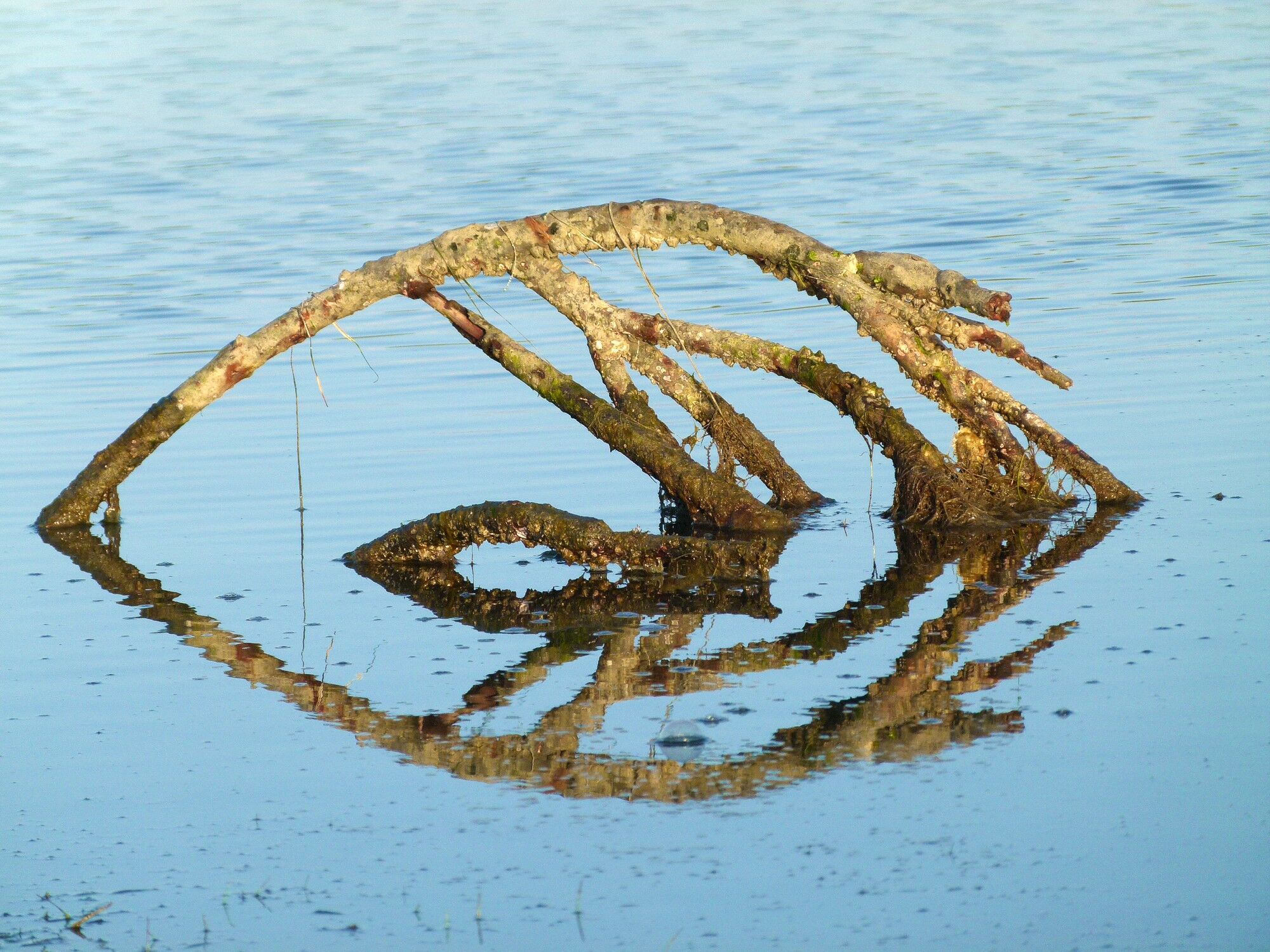 Click to See Next Image